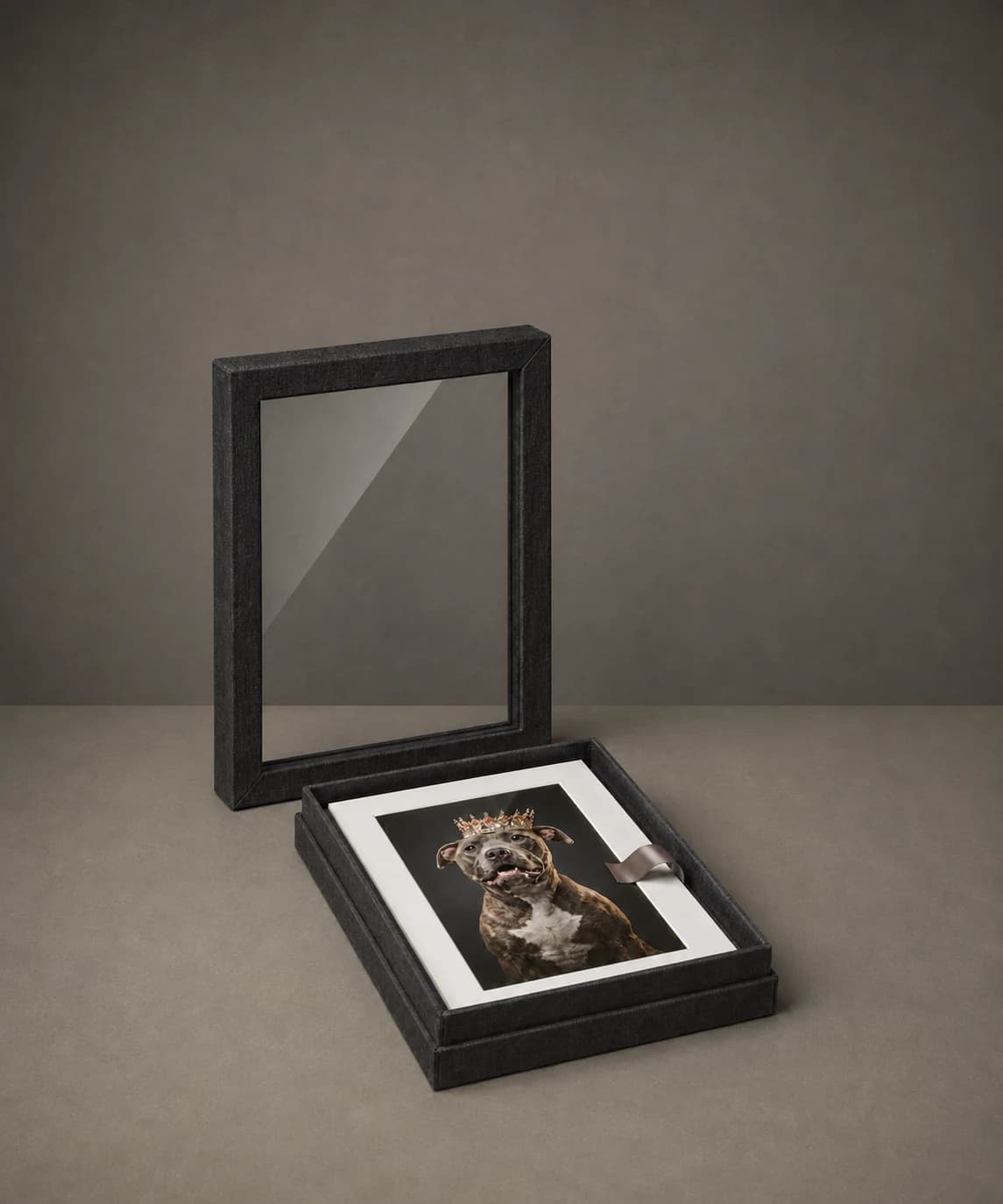 Illustrative window image box with a separate clear acrylic lid and matted crowned dog portrait